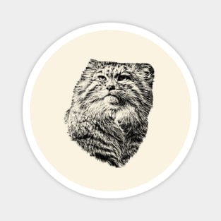 Manul Magnet